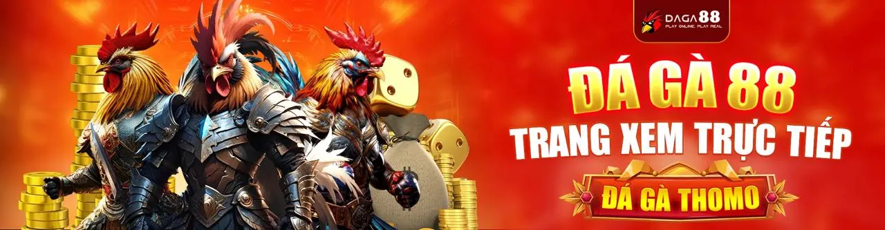 Hình ảnh đá gà trực tuyến kịch tính tại hy88 casino